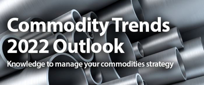 Commodities Outlook 2022 header